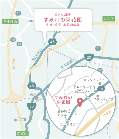 栄花園詳細マップ